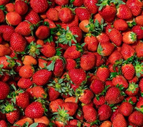 more berries